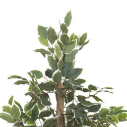 Urbn-Living Urbnliving 95Cm Artificial Plants Garden Feature Faux Plant Tree Pot White Tipped Set 0F 2 - thumbnail 2