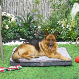 Pet Bed With Charcoal Infused Memory Foam - Dog Or Cat Orthopaedic Mattress With Zipped Cover & Anti-Slip Bottom - Large - thumbnail 5