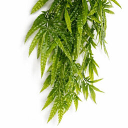 70Cm Artificial Trailing Fern Leaf Plant Hanging Faux Greenery - thumbnail 2
