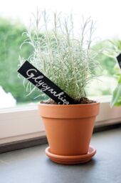 Verve Laleh Terracotta Grow Pot (Dia) 27.3Cm, (H)24.4Cm, 9L - thumbnail 2