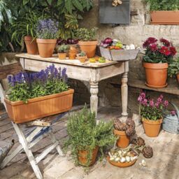 Verve Laleh Terracotta Grow Pot (Dia) 27.3Cm, (H)24.4Cm, 9L - thumbnail 4