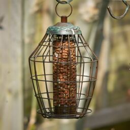 Peckish Secret Garden Steel Peanut Green Squirrel Proof Bird Feeder 0.7L - thumbnail 2