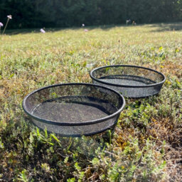 Selections Bird Seed, Nuts, Mealworms Metal Mesh Dish Tray For Metal Bird Feeding Stations (Set Of 2)