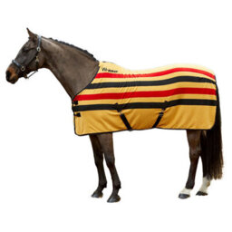 Whitaker Aintree Standard-Neck Stripe Horse Fleece Rug Yellow (7) - thumbnail 1