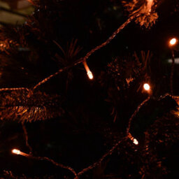 Samuel Alexander 200 Led 16M Premier Christmas Outdoor Lights Timer Clear Cable In Vintage Gold - thumbnail 3