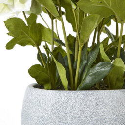 Wyld Haus Artificial White Hellebore Plant In Grey Ceramic Pot, 41 Cm - thumbnail 4