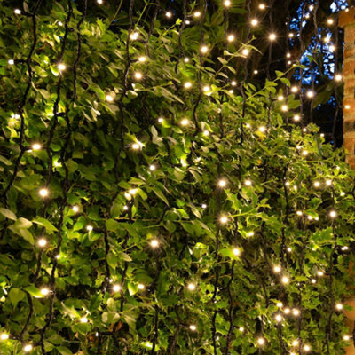 Christmas Tree World Crownvine 2 Pack 20 Led Warm White Curtain Lights 2M - Black Rubber Cable (For Crownvine Lights) - image 1