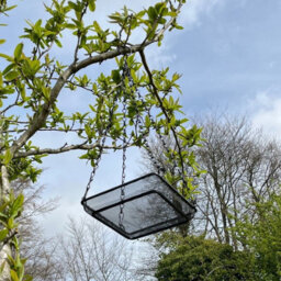 Selections Metal Hanging & Ground Bird Seed & Nut Feeder Tray (Pack Of 2) - thumbnail 6