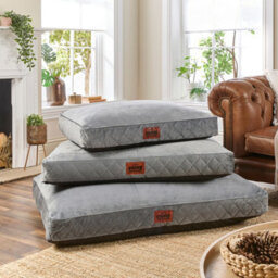 Slumberdown Padded Dog Bed: Cosy Comfort For A Happy Pup, Grey - thumbnail 1
