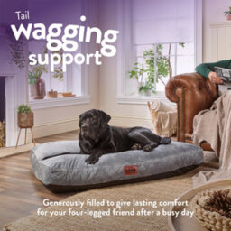Slumberdown Padded Dog Bed: Cosy Comfort For A Happy Pup, Grey - thumbnail 3