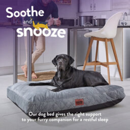 Slumberdown Padded Dog Bed: Cosy Comfort For A Happy Pup, Grey - thumbnail 4