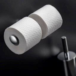 Cosmic Toilet Roll Holder With Lid 24,5Cm, Silver, Anti-Corrosion, Architect S+ Collection - thumbnail 4