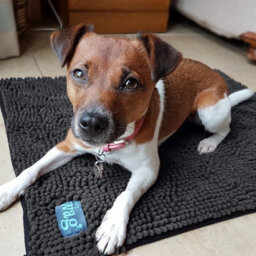 Henry Wag Microfibre Dog Noodle Pet Mat For Dogs  - Large  Size - thumbnail 2