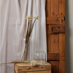 Wyld Haus Set Of 3 Artificial Flowers Cream Aster Spider Chrysanthemum Stems - thumbnail 5