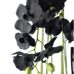 Leaf 110Cm Large Black Orchid Plant - Artifcial - 41 Real Touch Flowers - thumbnail 2