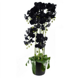 Leaf 110Cm Large Black Orchid Plant - Artifcial - 41 Real Touch Flowers