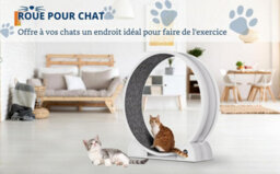 London Boutique Cat Exercise Wheel With Pedometer And Scratching Post For Cats, Super Silent Treadmill With Removable Mat, White - thumbnail 7