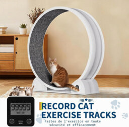 London Boutique Cat Exercise Wheel With Pedometer And Scratching Post For Cats, Super Silent Treadmill With Removable Mat, White - thumbnail 6
