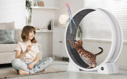 London Boutique Cat Exercise Wheel With Pedometer And Scratching Post For Cats, Super Silent Treadmill With Removable Mat, White - thumbnail 8