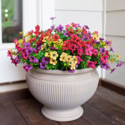 2 Pack 2 - Piece Bundle Of Artificial Flowers, Uv - Resistant Outdoor Plastic Greenery Plants For Indoor And Outdoor Use - thumbnail 4