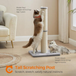 Songmics Cat Scratching Post, Tall Cat Scratcher For Cats, Sisal Scratch Pole, Spring Pompom With Built-In Bell, Dove Grey - thumbnail 1