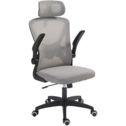 Ergonomic Grey Mesh Back Office Chair With Adjustable Height - thumbnail 1