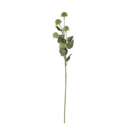 Thistle                  Globe                  Stem - thumbnail 4