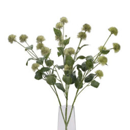 Thistle                  Globe                  Stem - thumbnail 5