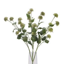 Thistle                  Globe                  Stem - thumbnail 6