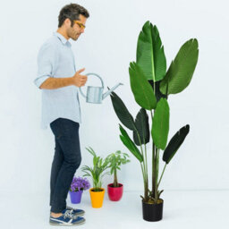 Gainoom 160Cm Artificial Tropical Palm Tree W/ 10 Leaves Fake Bird Of Paradise Plant - thumbnail 4