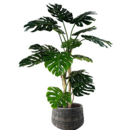 Pegdev - Pdl 150Cm Artificial Monstera Plant With Large Rustic Fibreglass Planter Faux Tree For Home Or Office Indoor Decoration - thumbnail 1