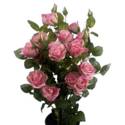 Leaf 60Cm  Rose Bush Premium Pink Silk Flowers And Leaves - thumbnail 5