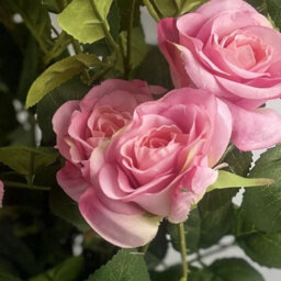 Leaf 60Cm  Rose Bush Premium Pink Silk Flowers And Leaves - thumbnail 2