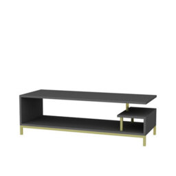 Decorotika Reilly Tv Stand Tv Unit For Tv's Up To 55 Inch Gold And Anthracite