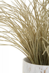 Orsina Fiori Artificial Grass Plant In Ceramic Pot, Faux Plant Decor With Natural Withered Look, Easy Maintenance - thumbnail 9