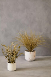 Orsina Fiori Artificial Grass Plant In Ceramic Pot, Faux Plant Decor With Natural Withered Look, Easy Maintenance - thumbnail 7