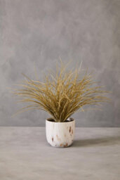Orsina Fiori Artificial Grass Plant In Ceramic Pot, Faux Plant Decor With Natural Withered Look, Easy Maintenance - thumbnail 4