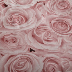 Gc Gaveno Cavailia Madison Roses Duvet Cover Bedding Set King Pink 3Pc With Flowers Design Reversible Quilt Cover - thumbnail 2