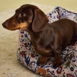 Rosewood Joules Festival Floral Box Dog Bed - thumbnail 5