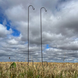 Selections Pair Of Garden Shepherds Crook Black Metal Border Hooks (2.18M) - thumbnail 2
