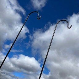 Selections Pair Of Garden Shepherds Crook Black Metal Border Hooks (2.18M) - thumbnail 5