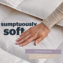Silentnight Duck Feather 10.5 Tog Duvet - King - thumbnail 4