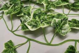 Best Artificial 7Ft - 210Cm Variegated Grape Ivy Garland String Strand Twine Decoration - Il01 - thumbnail 7