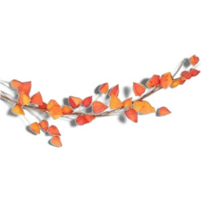 Gisela Graham Physalis Lantern Garland 136 Cm Autumn Home Decoration With Faux Berries