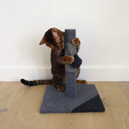 Rosewood Catwalk Charcoal Felt Cat Post 35.5X29X29Cm