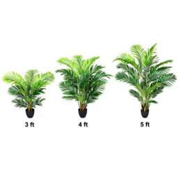 Greenbrokers Artificial Real Touch Phoenix Palm Tree In Black Pot-Uv Stable Ideal For 3Ft/94Cm - thumbnail 5