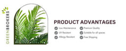 Greenbrokers Artificial Real Touch Phoenix Palm Tree In Black Pot-Uv Stable Ideal For 3Ft/94Cm - thumbnail 6