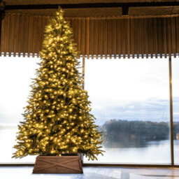 Christmas Tree World The 10Ft/300Cm Ultra Devonshire Fir Pre-Lit With Warm White/multicoloured Colour Change Leds - thumbnail 3