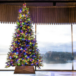 Christmas Tree World The 10Ft/300Cm Ultra Devonshire Fir Pre-Lit With Warm White/multicoloured Colour Change Leds - thumbnail 2