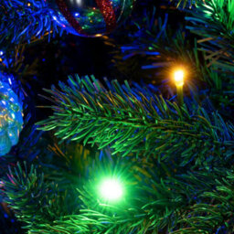 Christmas Tree World The 10Ft/300Cm Ultra Devonshire Fir Pre-Lit With Warm White/multicoloured Colour Change Leds - thumbnail 5